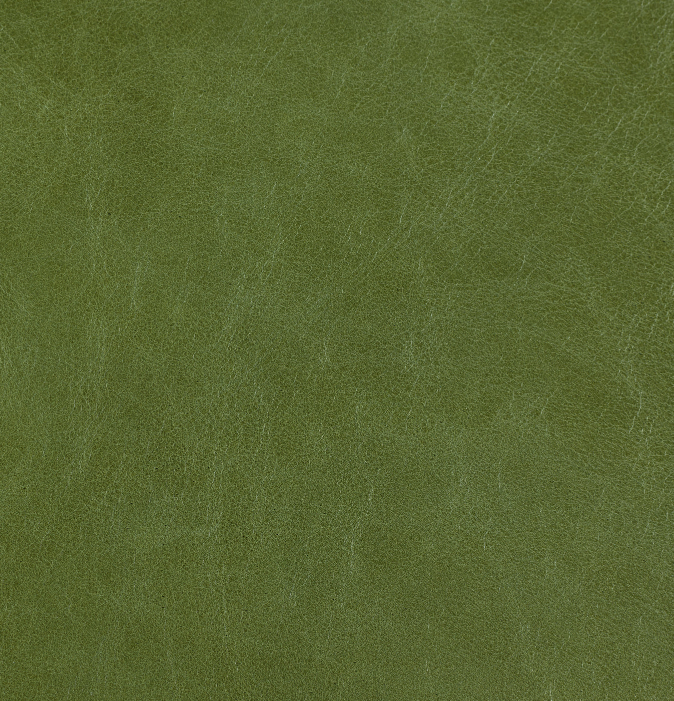 Old English - Cardomom Seed