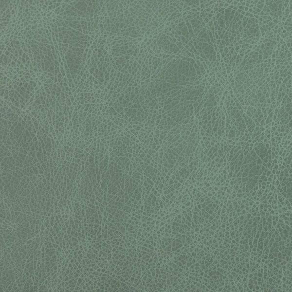 Saloon - Split Pea