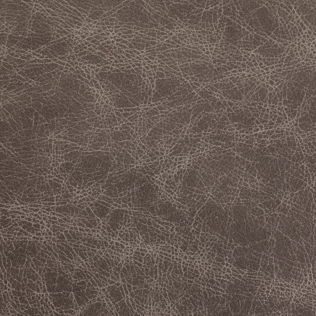 Saloon - Fossil