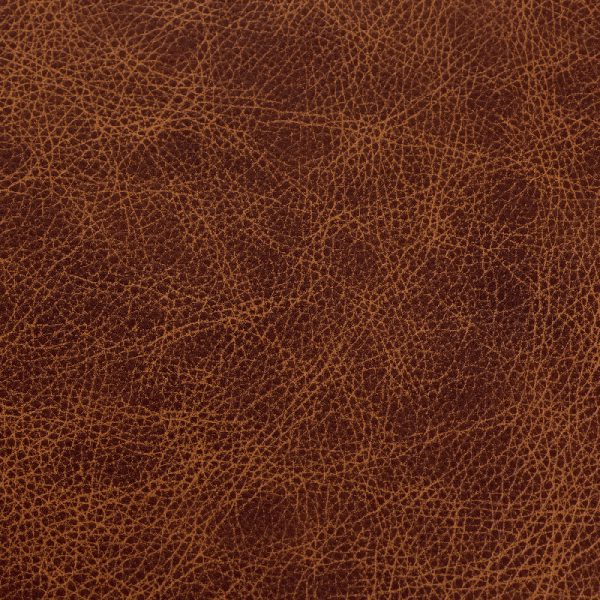 Saloon - Whiskey