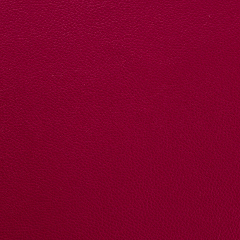 Shelly - Anenome rot