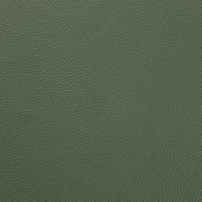 Shelly - Lichen Green