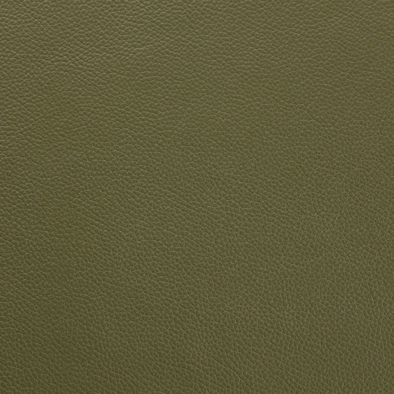 Shelly - Mountain Tree