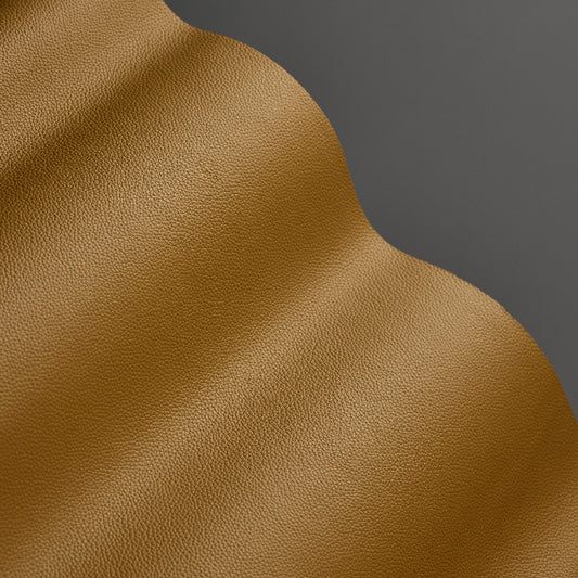 Shelly - Parchment