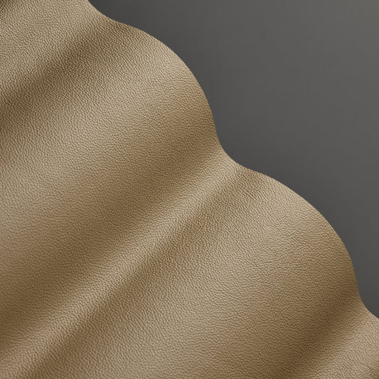 Shelly - Pebble