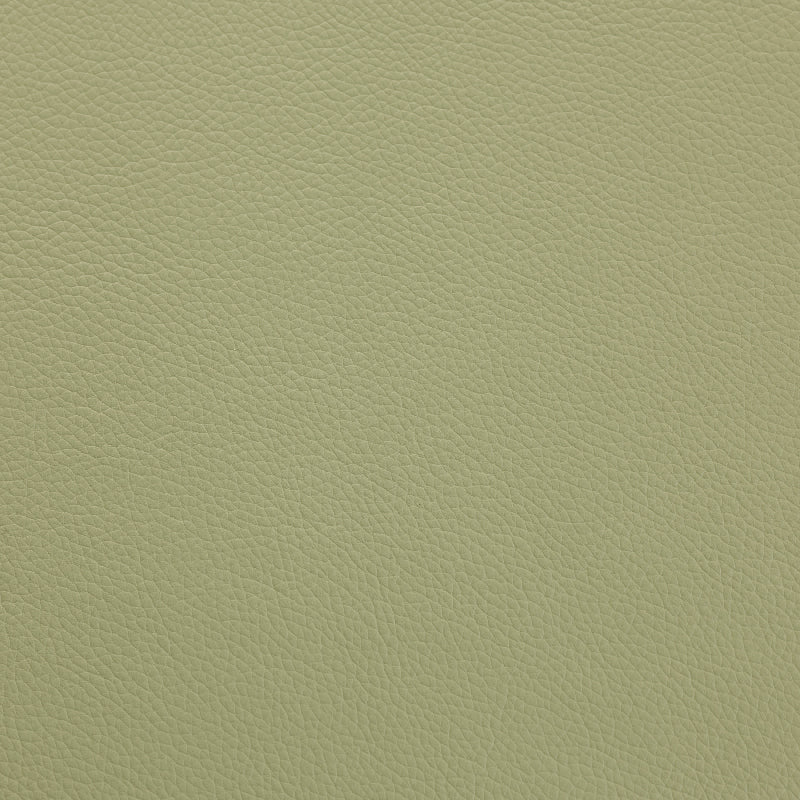 Shelly - Thymn Green