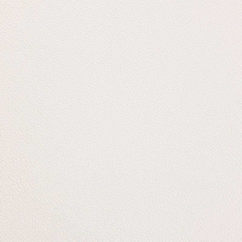 Shelly - Winter White